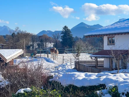 Ausblick von der Terrasse - Haus kaufen in Prien am Chiemsee - Vielseitig nutzbares EFH mit mit unverbaubarem Bergblick in Traumlage nahe Prien