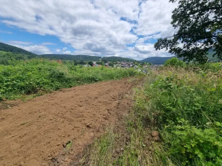  - Grundstück kaufen in Collenberg - Ruhige Ortsrandlage mit Ausblick in Collenberg