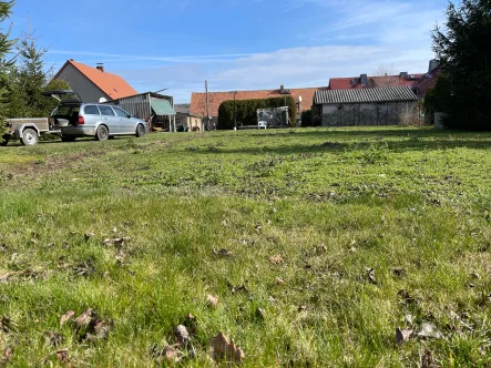 Grundstück mit Blick zum Haus - Haus kaufen in Reichenbach - Ein Haus mit Geschichte (und vielen Baustellen)!