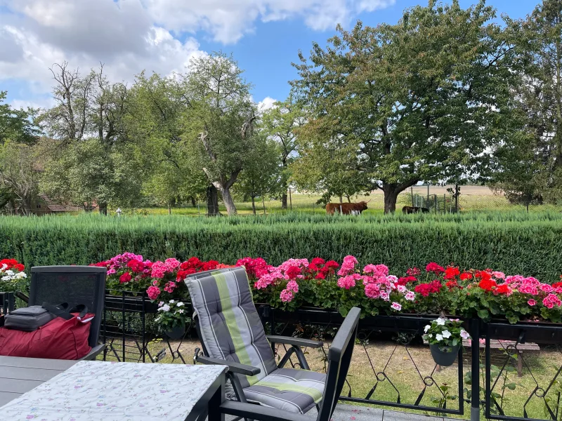 Blick von der Terrasse