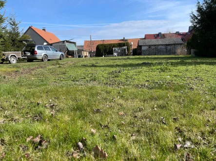 Grundstück mit Blick zum Haus - Haus kaufen in Reichenbach - Ein Haus mit Geschichte