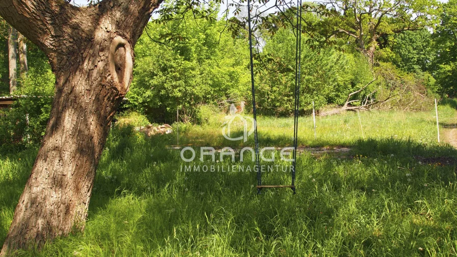 Schaukeln im alten Baumbestand