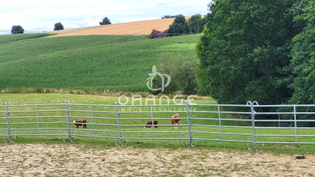 Aussenbereich - Haus kaufen in Beutelsbach - Naturidylle zum verlieben - Pferdehof in Alleinlage auf 2,5 Ha Grund in Beutelsbach