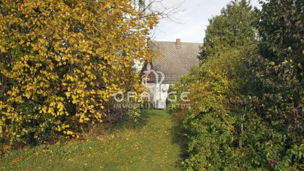 Weg zum Acker - Haus kaufen in Grebbin / Kossebade - ***Resthof am Dorfrand mit viel Platz für Mensch und Tier***