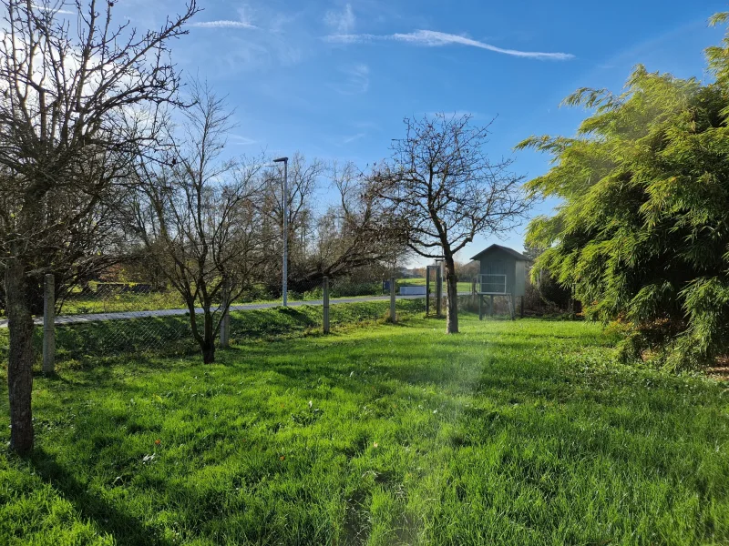 Blick in den Garten