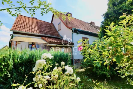 Titelbild - Haus kaufen in Mücheln (Geiseltal) / Neubiendorf - *** Wer lässt mich im neuen Glanz erstrahlen ? ***