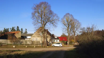 Titelbild - Haus kaufen in Demen - ***Haus mit 2 Wohnungen, Nebengelass und viel Platz für Ihre Ideen***