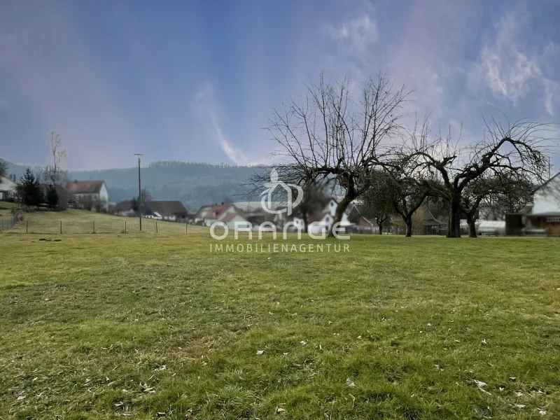  - Grundstück kaufen in Berg bei Neumarkt in der Oberpfalz - ***Traumgrundstück OHNE Bauzwang - sofort verfügbar!***