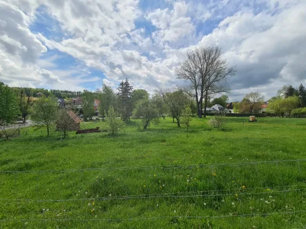 20210519_113222 - Grundstück kaufen in Heuthen - Bauland mit großem Entwicklungspotenzial