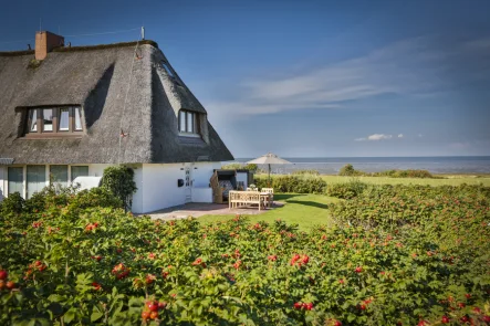 Titel - Wohnung kaufen in Sylt / Morsum - Mehr Lage geht nicht !