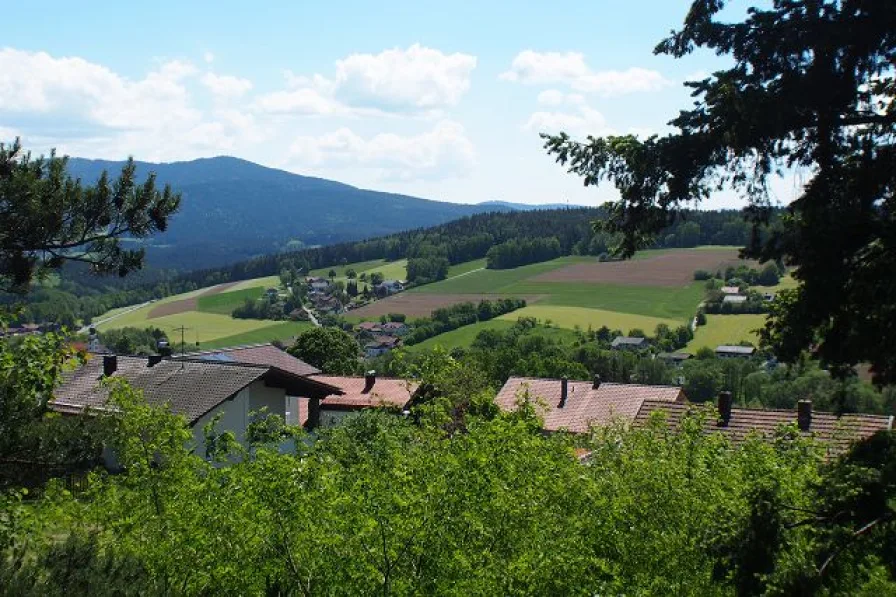 Aussicht - Haus kaufen in Rimbach - Weitblick!! Einfamilienhaus mit ELW in ruhiger Lage, Nähe der Stadt Bad Kötzting, Bay. Wald