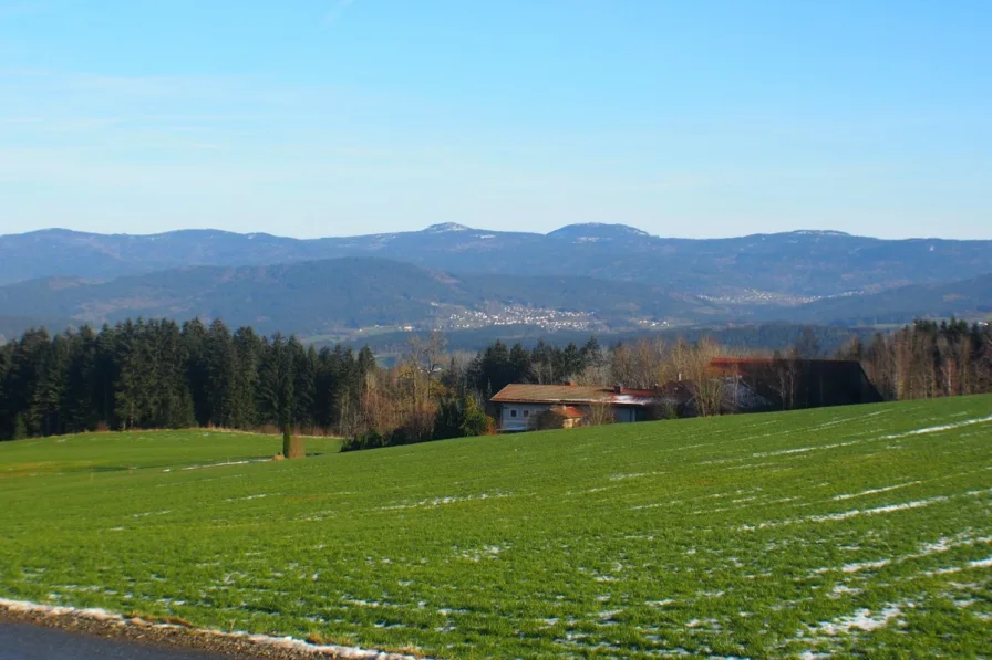 Aussicht - Haus kaufen in Patersdorf - Mit der Natur auf Du und Du! Idyllisch gelegener Bungalow, südöstlich der Stadt Viechtach, Bay.Wald