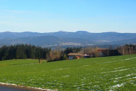 Aussicht - Haus kaufen in Patersdorf - Mit der Natur auf Du und Du! Idyllisch gelegener Bungalow, südöstlich der Stadt Viechtach, Bay.Wald