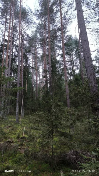 -6 Grenzverlauf rechts unterer Bereich