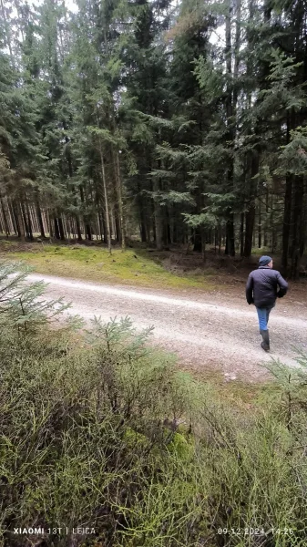 -3 Unterer Grenzverlauf bei Forststr