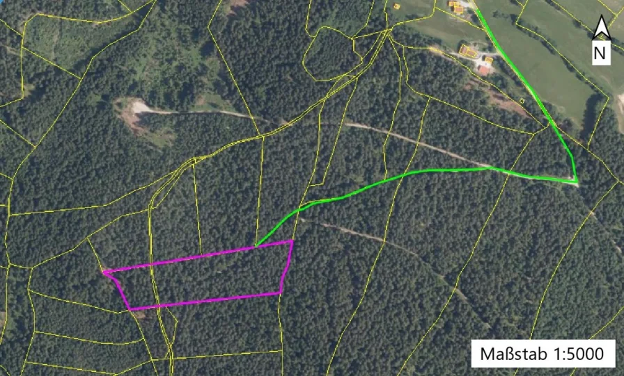 MK-2024-64-2 LP 1-5000 Earth mark - Land- und Forstwirtschaft kaufen in Arnbruck - 24.600 m² gesunder Mischwald. Überwiegend Fichte + Kiefern. Gemarkung Arnbruck - Bay. Wald