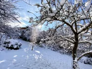 Alpen-Immo_Schliersee_Grundstück7