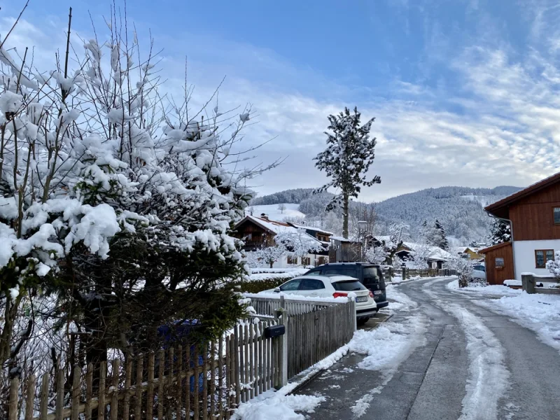 Alpen-Immo_Schliersee_Grundstück (2)