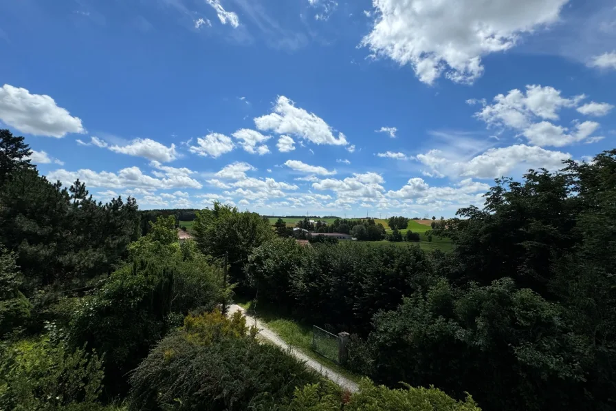 Ausblick vom Balkon