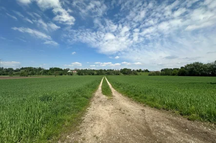 Zuweg zum Grundstück! - Grundstück kaufen in Bergkirchen - Landwirtschaftliches Grundstück am Ortsrand von Günding (Gde. Bergkirchen) zu verkaufen!