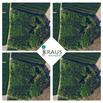Details - Land- und Forstwirtschaft kaufen in Künzing - Schönes Waldgrundstück bei KÜNZING!!!