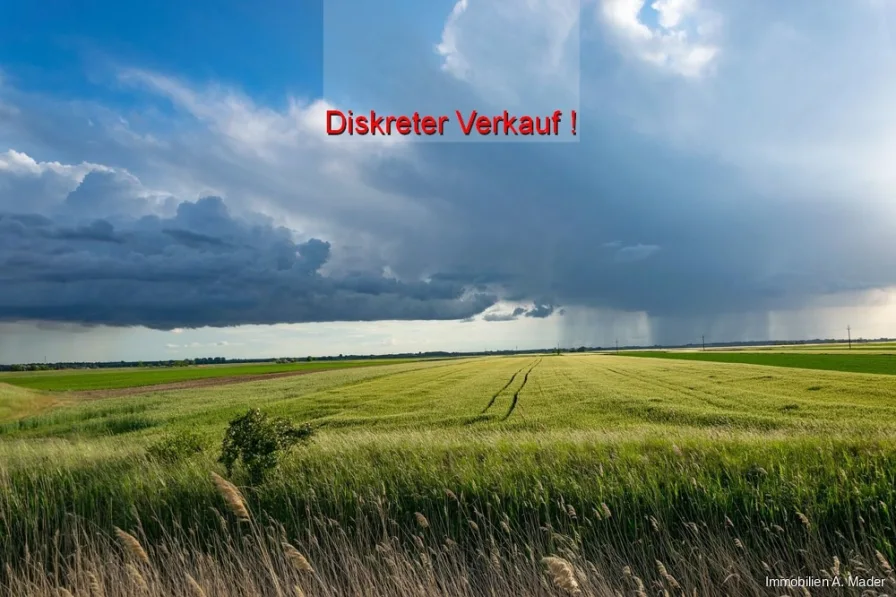 Diskreter Verkauf - Grundstück kaufen in Donauwörth - Landwirtschaftl. Fläche in Wörnitzstein