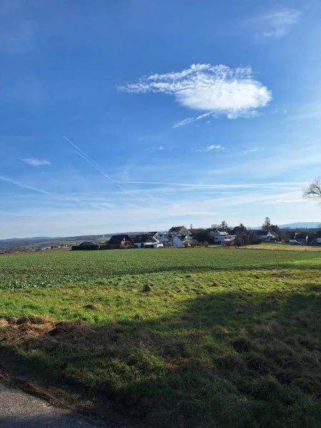 Blick übers Feld zum Haus