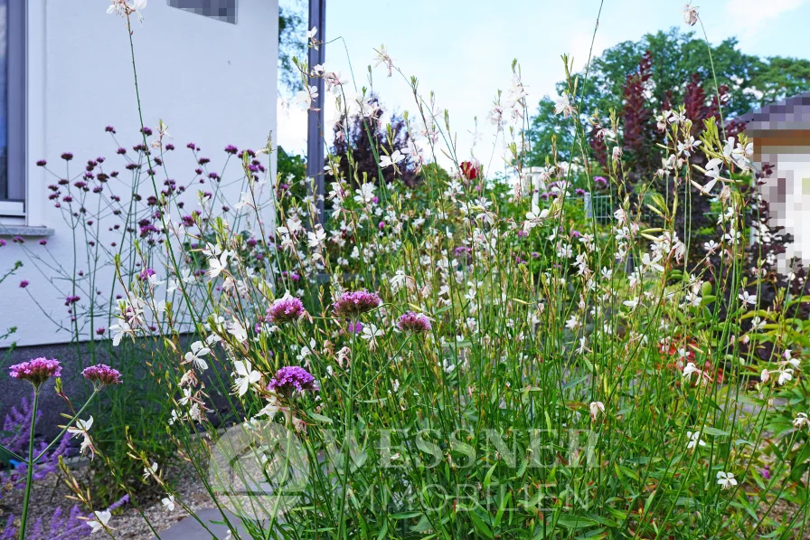 Garten Blumen