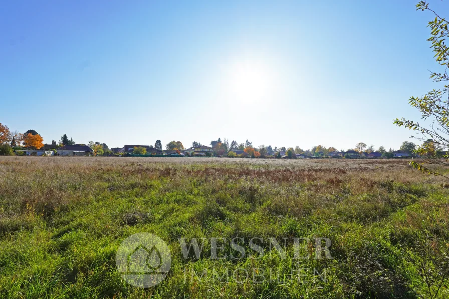 Wiese hinter dem Grundstück