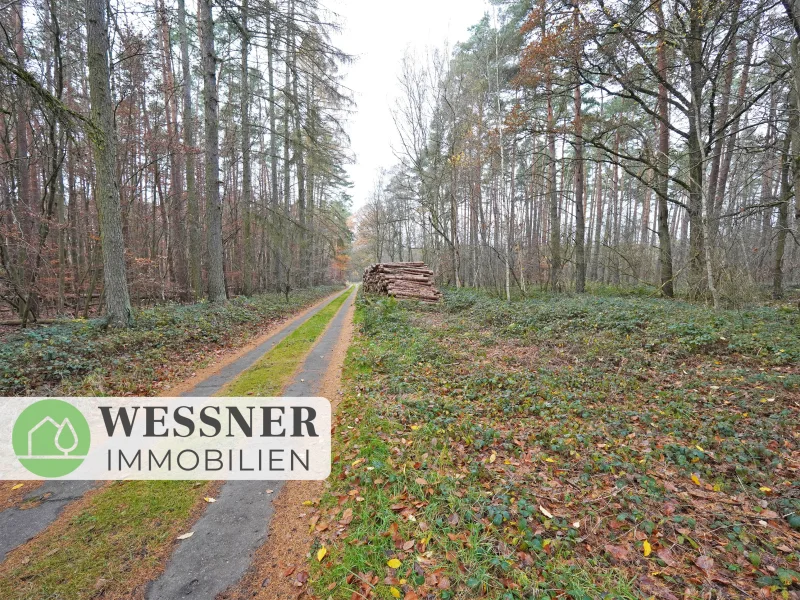 Titelbild 1 - Grundstück kaufen in Retzow - Gut erreichbarer Wald in der Nähe von Nauen