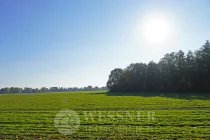 Umgebung Wiesen und Wälder