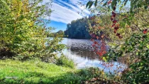 Naturparadies Hammersee