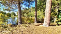 Naturparadies Hammersee