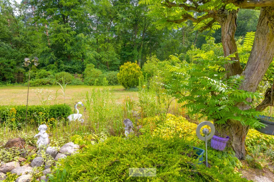 Blick in den Garten