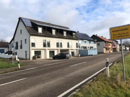 Südseite Wohngebäude mit Gewerbeeinheit - Haus kaufen in Mainhardt - Anwesen mit 5 Wohnungen und einem Bauplatz