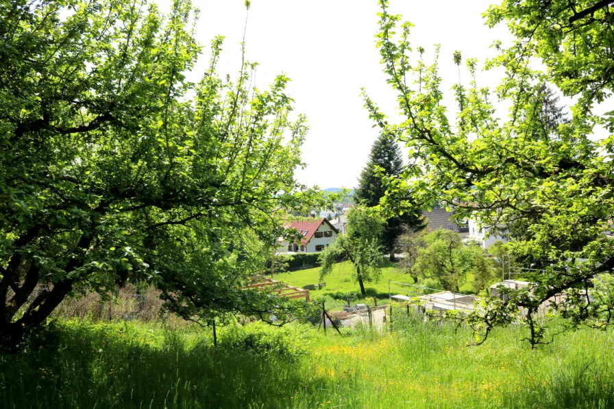 Ausblick ins Illertal - Haus kaufen in Altenstadt - Grundstück mit Altbestand in Hang/Waldrandlage für Naturliebhaber in Altenstadt/Iller