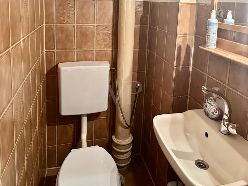 Gäste-WC Wohnung EG