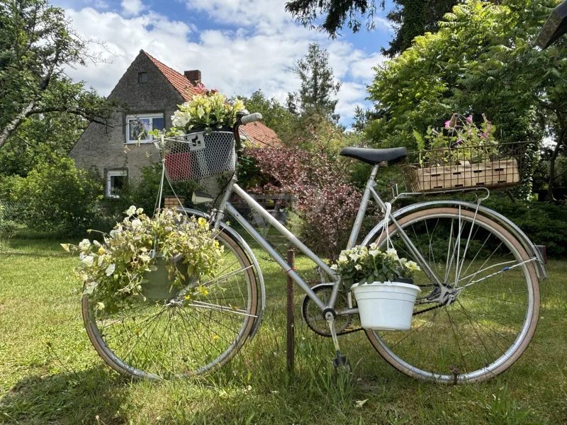 Ihr Feriendomizil