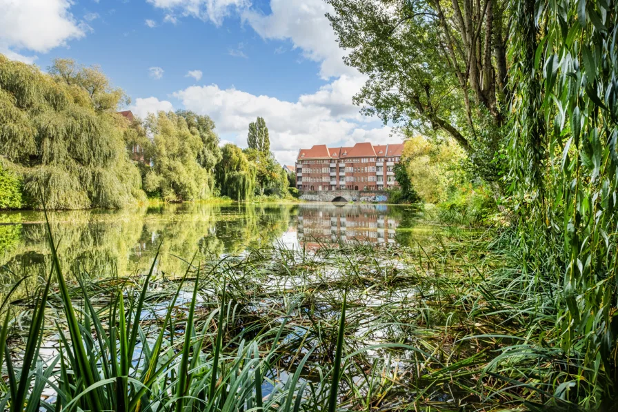 Blick vom Park auf die Häuserzeile