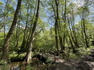 Am Mühlenwanderweg