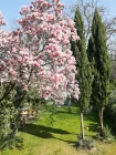 Garten im Frühling