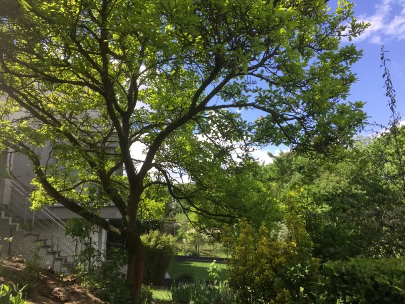 Ausblick Wintergarten