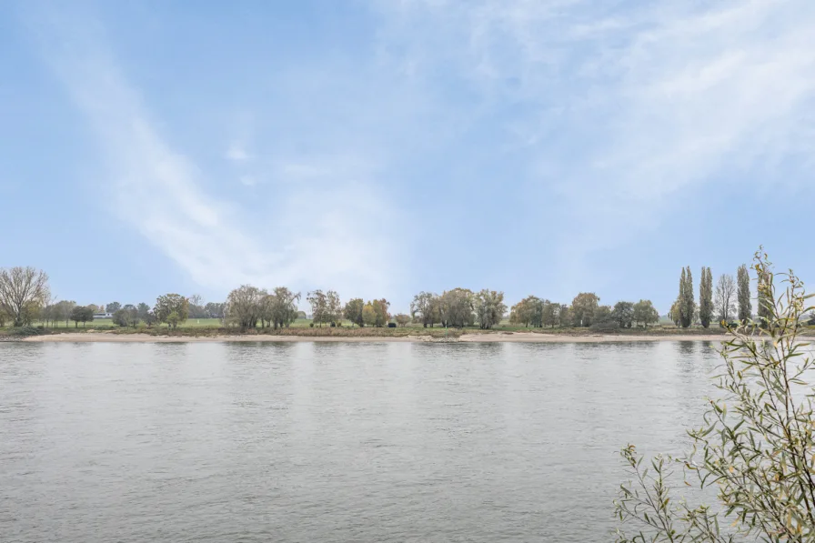 Wohnen am Rhein