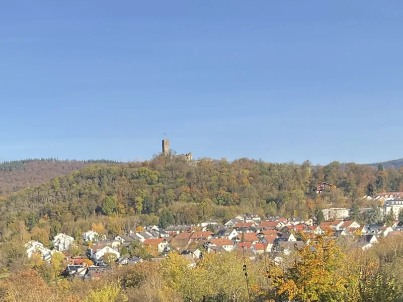 Burgausblick vom Balkon EG