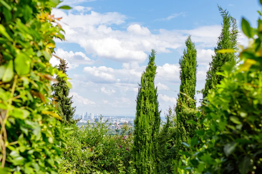 Skyline-Blick