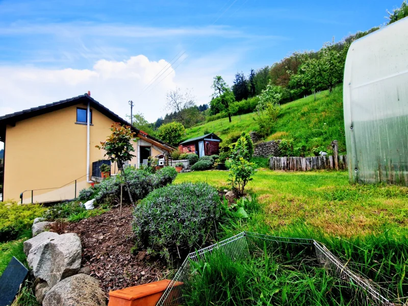 Gartenansicht mit Gewächshaus