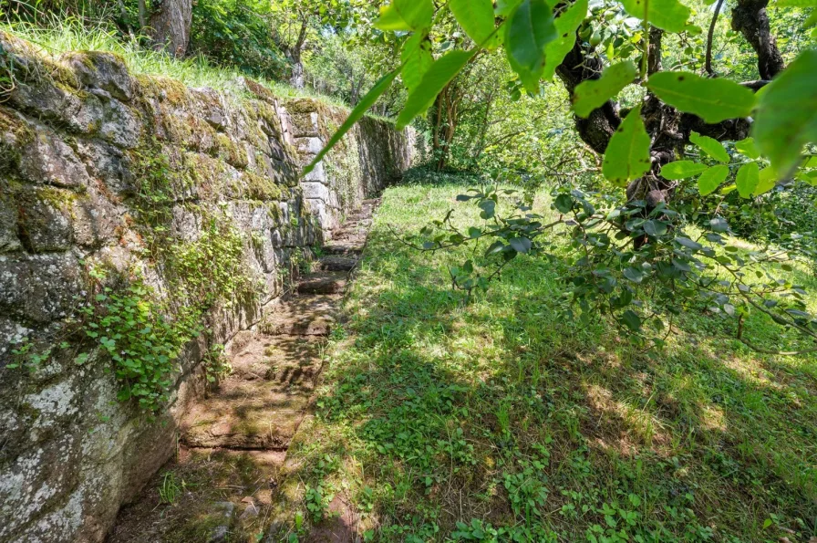 Zuwegung oberer Garten