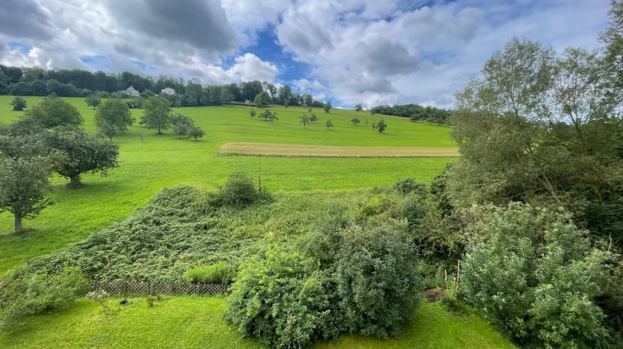 Aussicht vom Balkon