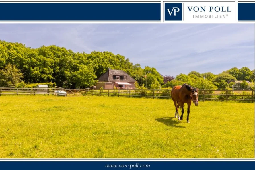 Titelbild - Haus kaufen in Kropp - Dort leben, wovon andere nur träumen können