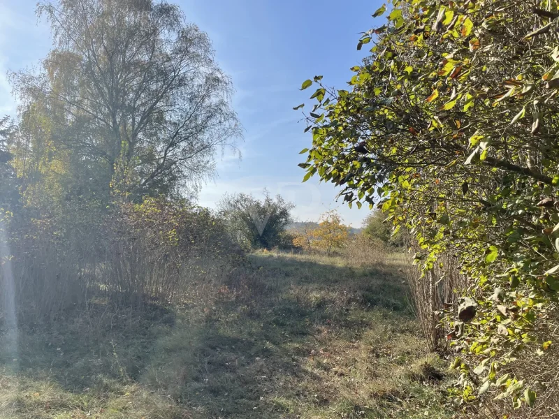 unverbaubarer Blick auf das Landschaftsschutzgebiet "Notte Niederung"